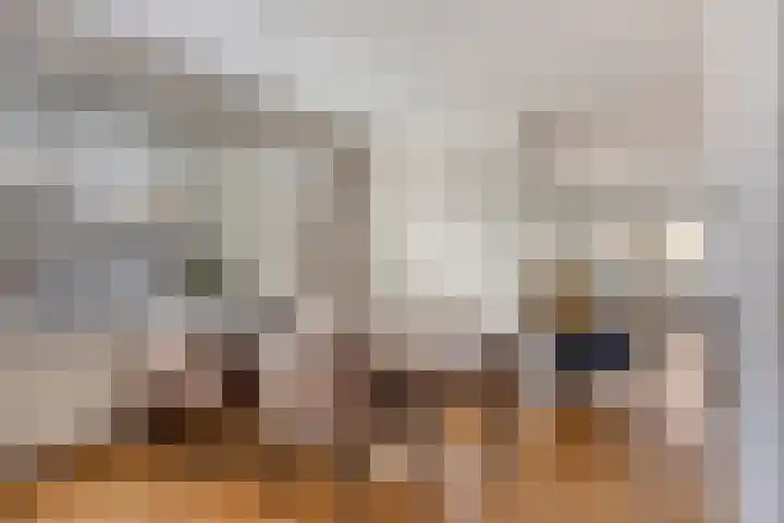 Molenbeemden 40 Veghel thumbnail 17