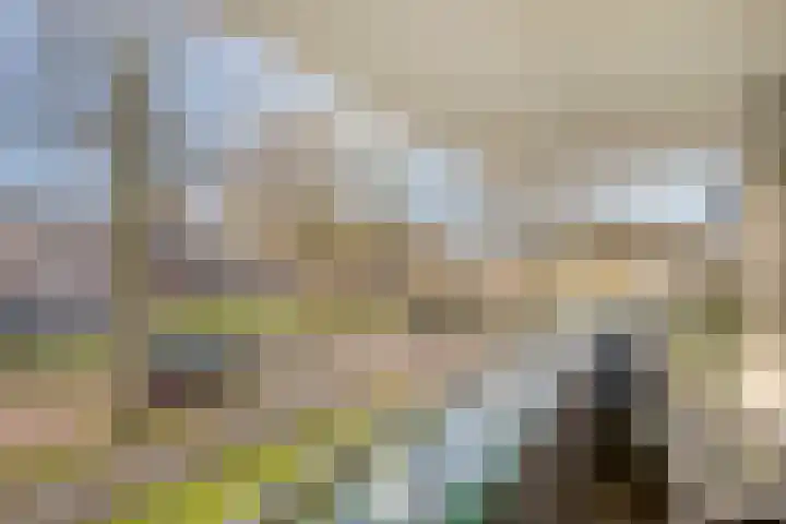 Molenbeemden 40 Veghel thumbnail 20