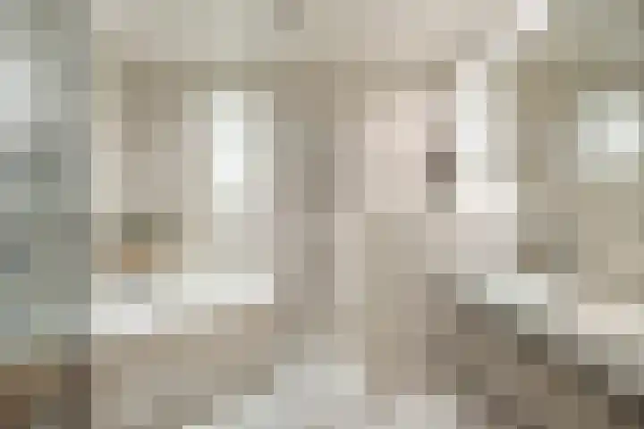 Molenbeemden 40 Veghel thumbnail 26
