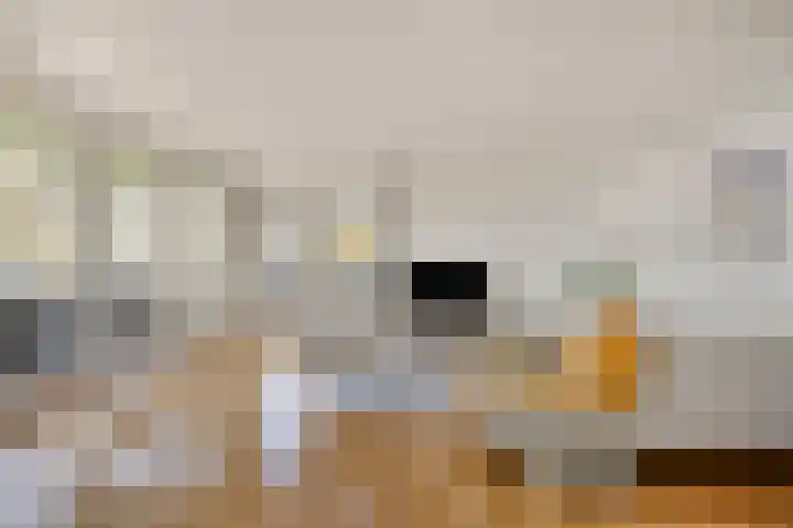 Molenbeemden 40 Veghel thumbnail 4