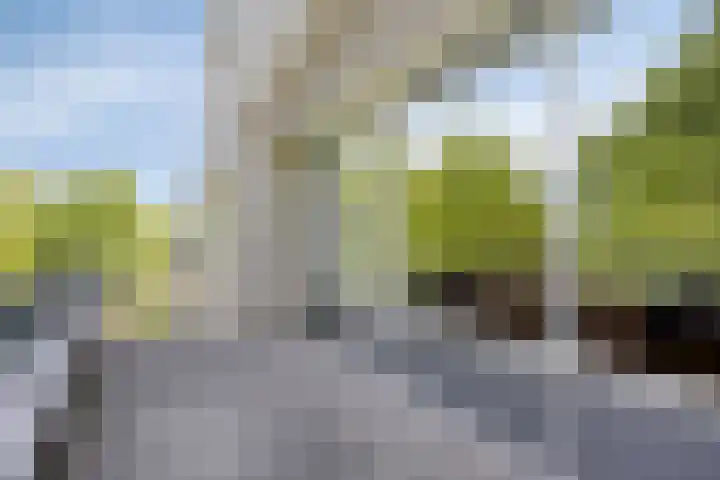 Molenbeemden 46 Veghel thumbnail 15