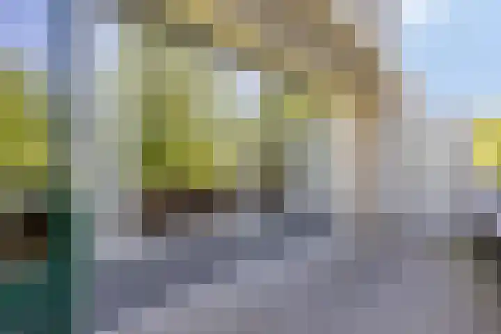 Molenbeemden 46 Veghel thumbnail 16