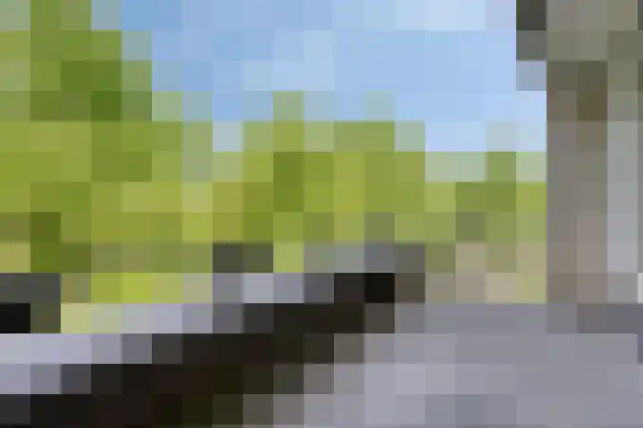 Molenbeemden 46 Veghel thumbnail 17