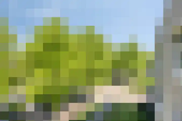 Molenbeemden 46 Veghel thumbnail 18