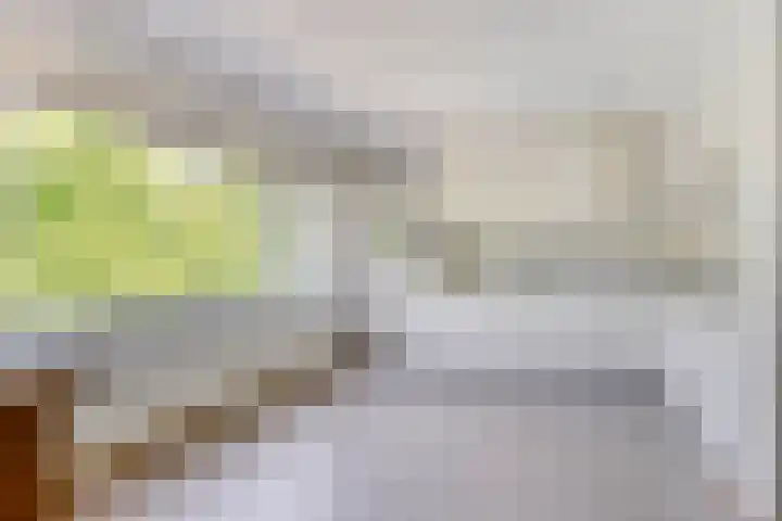 Molenbeemden 46 Veghel thumbnail 19
