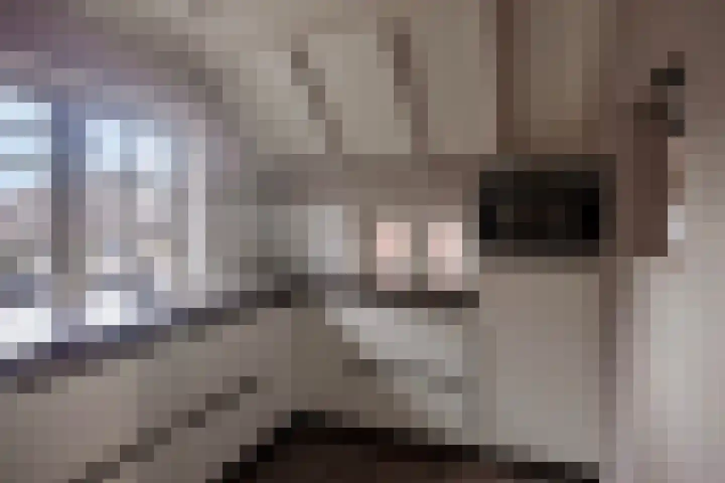 Molenbelt 2 Wilsum thumbnail 11