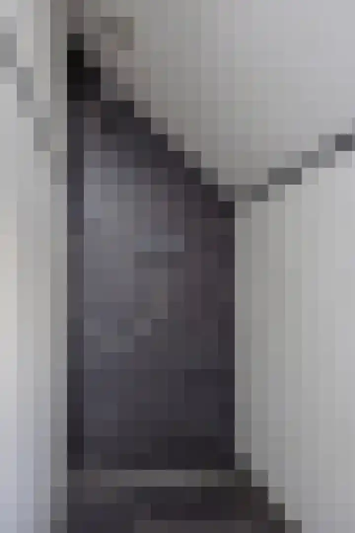 Molenbelt 2 Wilsum thumbnail 22