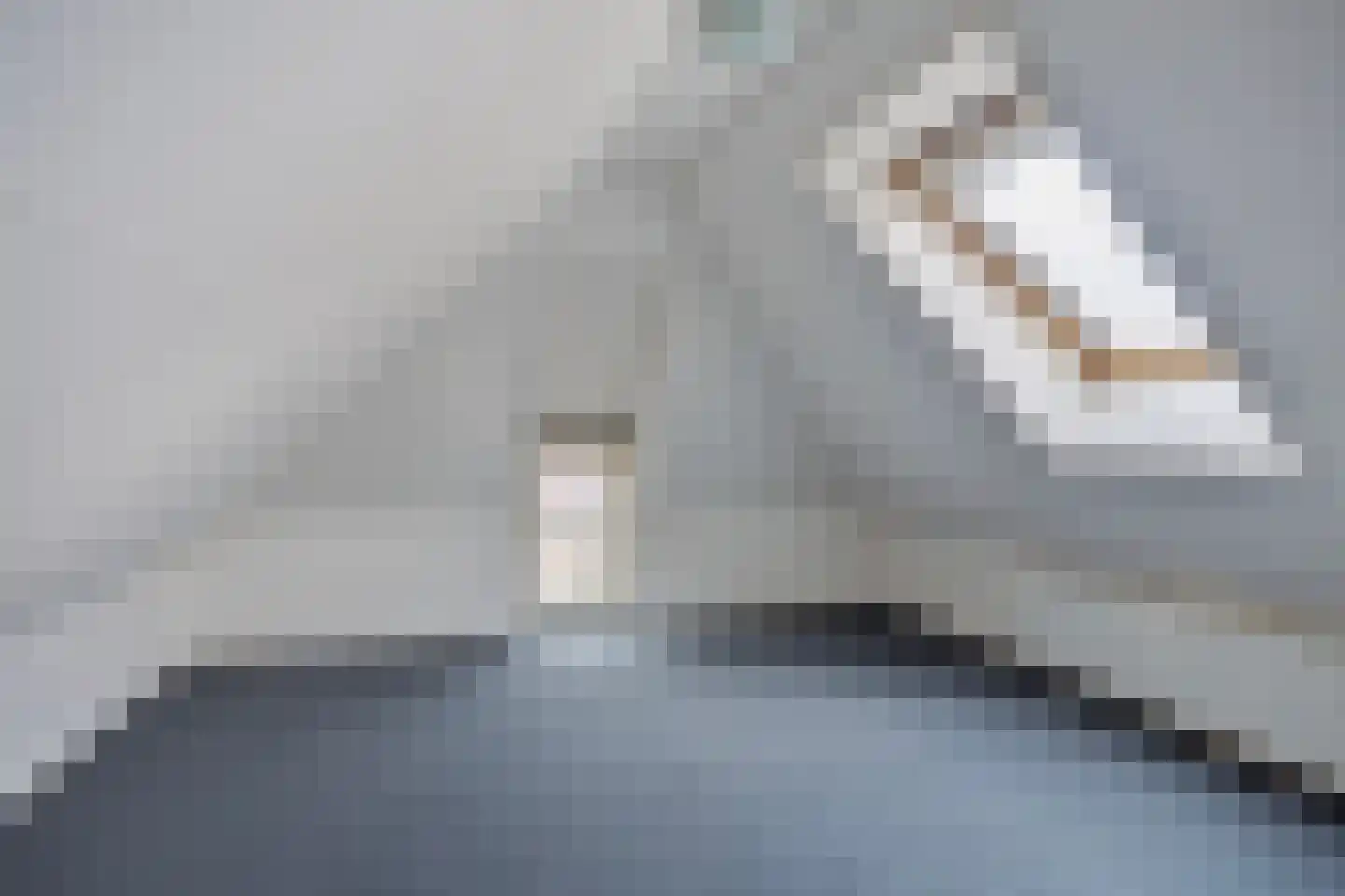 Molenbelt 2 Wilsum thumbnail 29