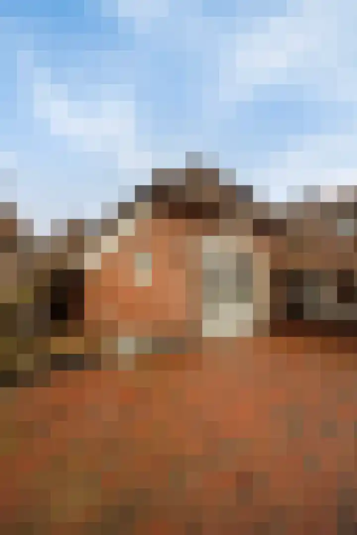 Molenbelt 2 Wilsum thumbnail 32