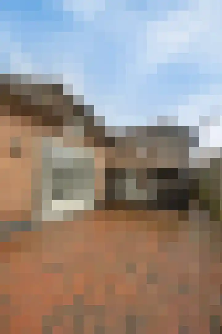 Molenbelt 2 Wilsum thumbnail 33