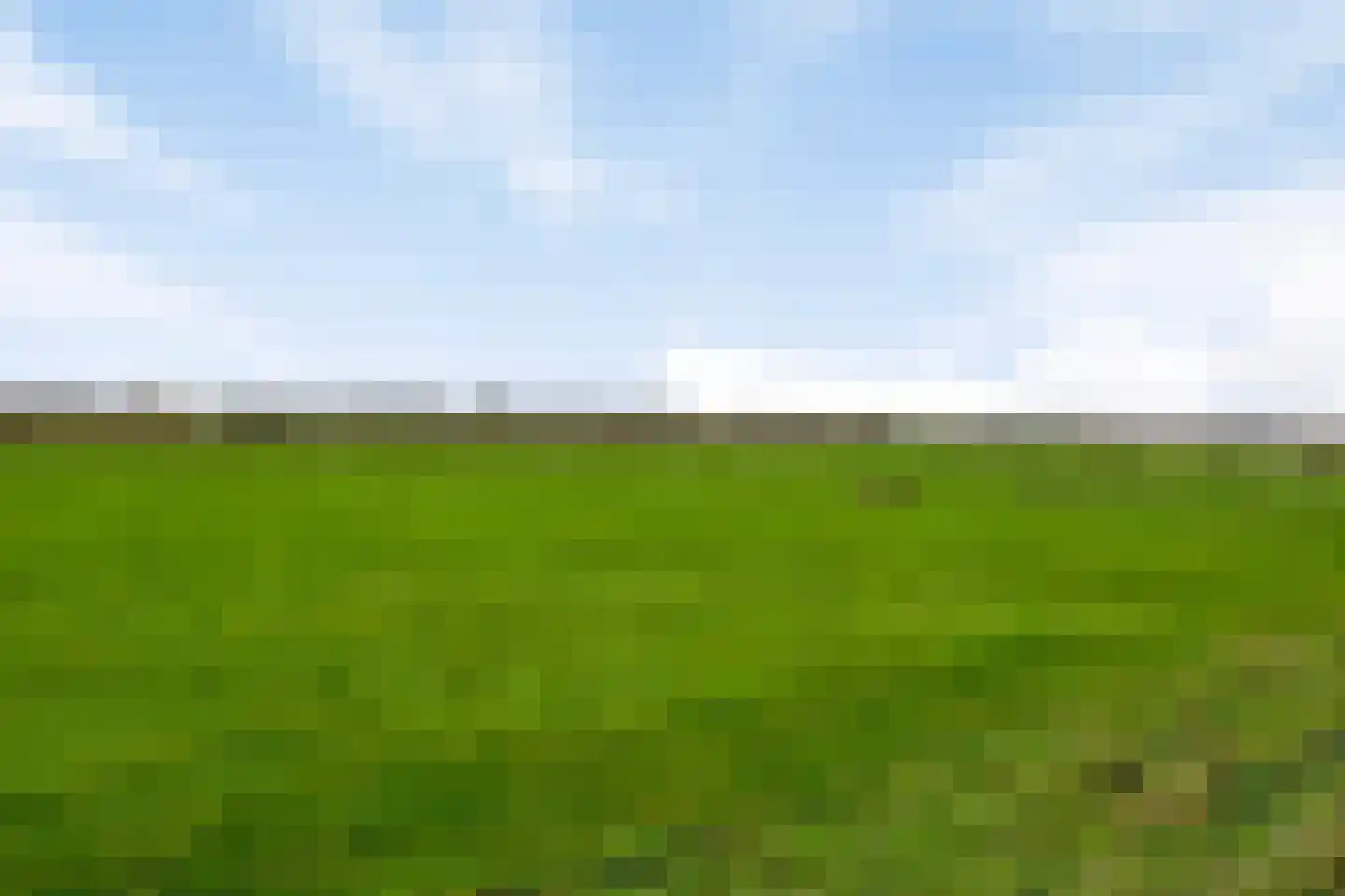 Molenbelt 2 Wilsum thumbnail 42