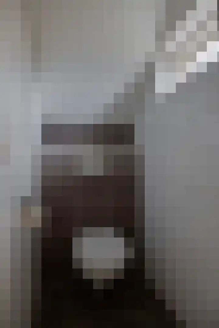 Molenbelt 2 Wilsum thumbnail 7