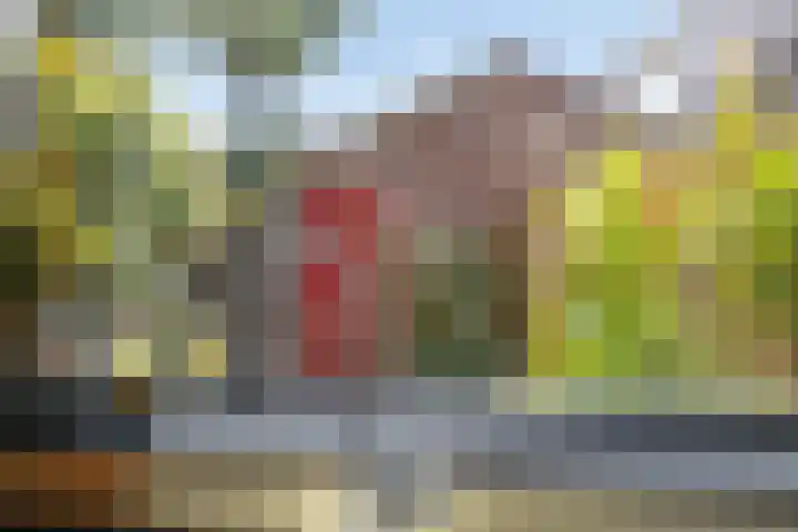 Molenbelt 40 Deventer thumbnail 16
