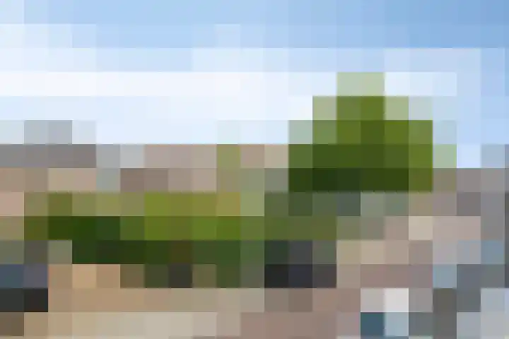 Molenbelt 40 Deventer thumbnail 22