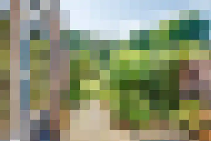 Molenbelt 53 Lochem thumbnail 20