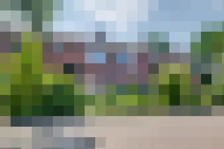 Molenbelt 53 Lochem thumbnail 23