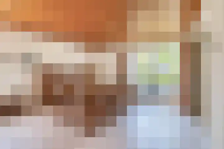 Molenberg 15 Vessem thumbnail 14