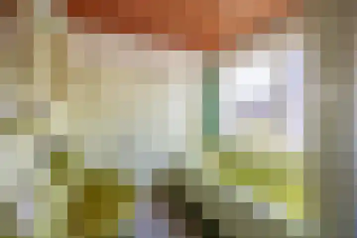 Molenberg 15 Vessem thumbnail 29