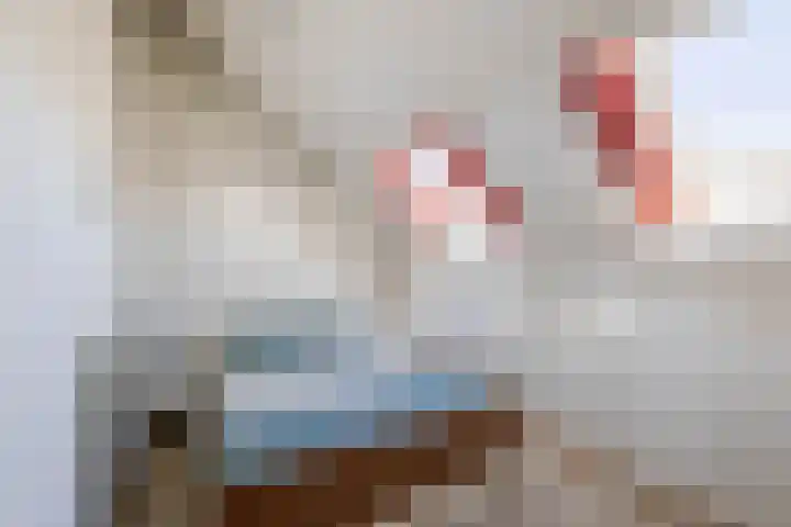 Molenberg 15 Vessem thumbnail 35