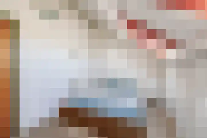 Molenberg 15 Vessem thumbnail 36