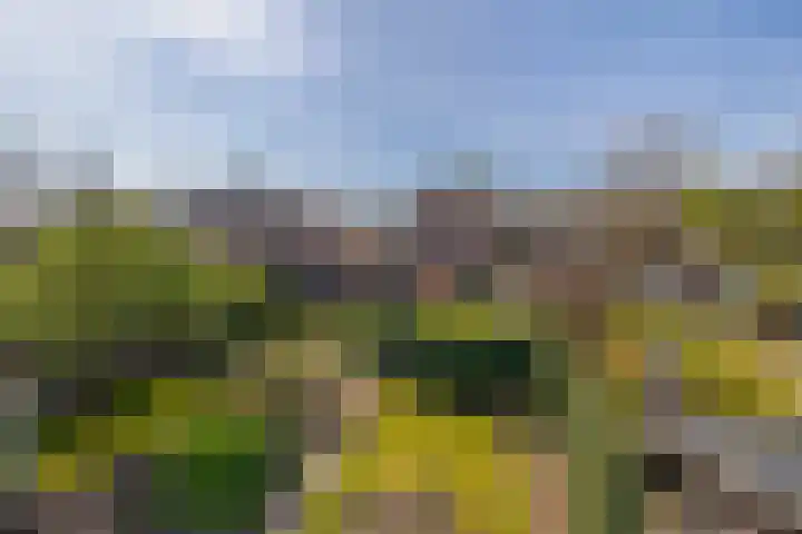 Molenberg 15 Vessem thumbnail 4