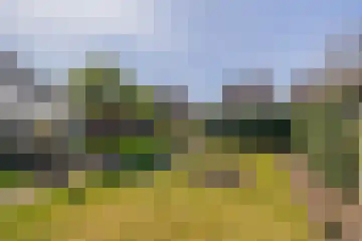 Molenberg 15 Vessem thumbnail 46