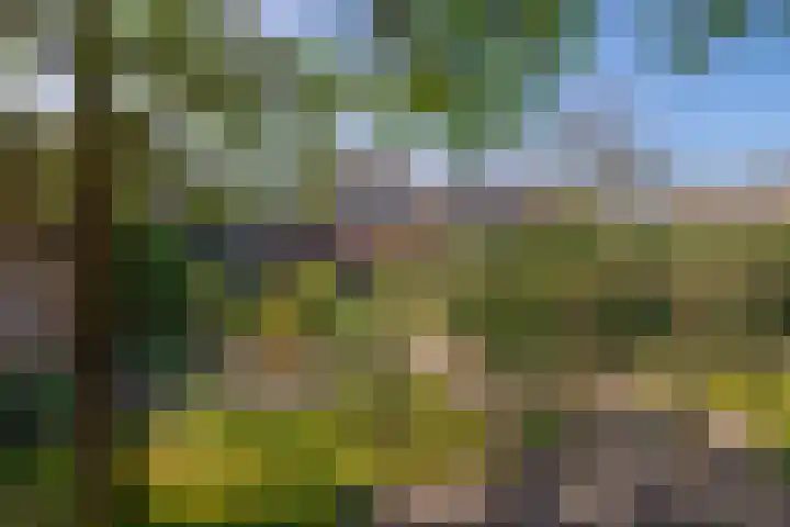 Molenberg 15 Vessem thumbnail 48