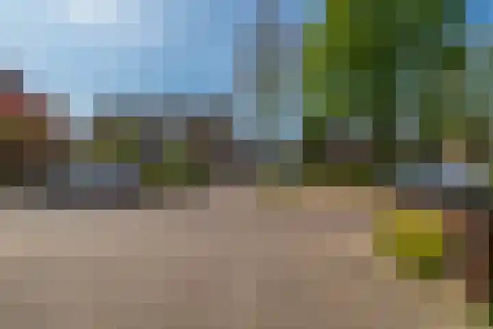 Molenberg 15 Vessem thumbnail 52