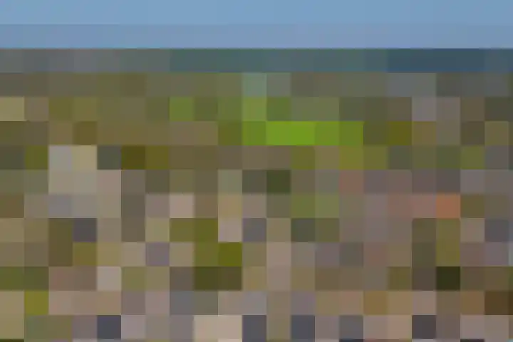 Molenberg 15 Vessem thumbnail 54