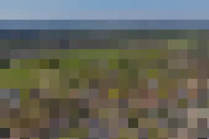 Molenberg 15 Vessem thumbnail 55