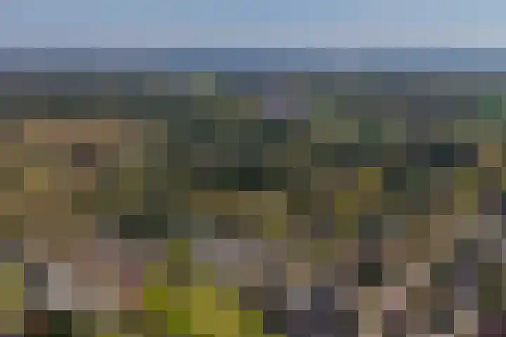 Molenberg 15 Vessem thumbnail 56