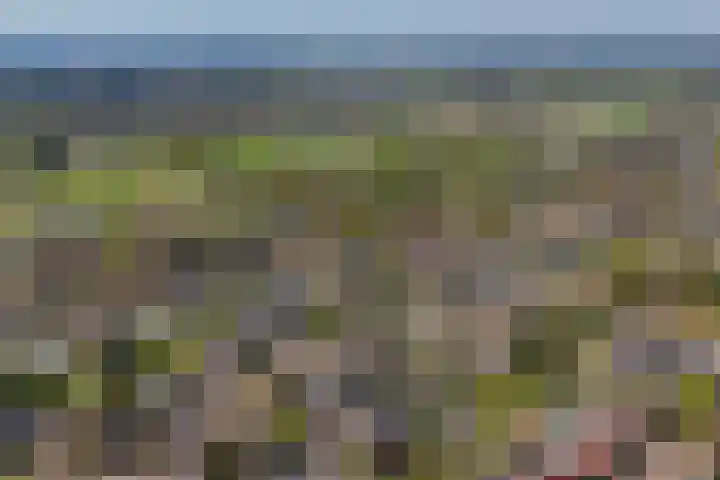 Molenberg 15 Vessem thumbnail 57