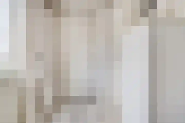 Molenberg 37 Reusel thumbnail 13