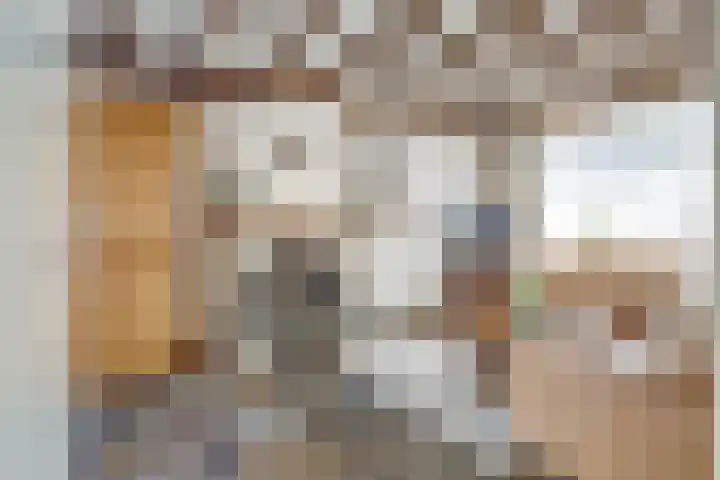 Molenberg 37 Reusel thumbnail 14