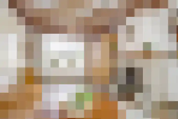Molenberg 37 Reusel thumbnail 18
