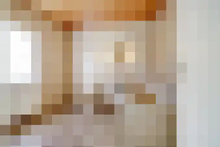 Molenberg 37 Reusel thumbnail 30