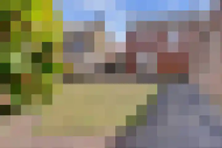 Molenberg 37 Reusel thumbnail 35