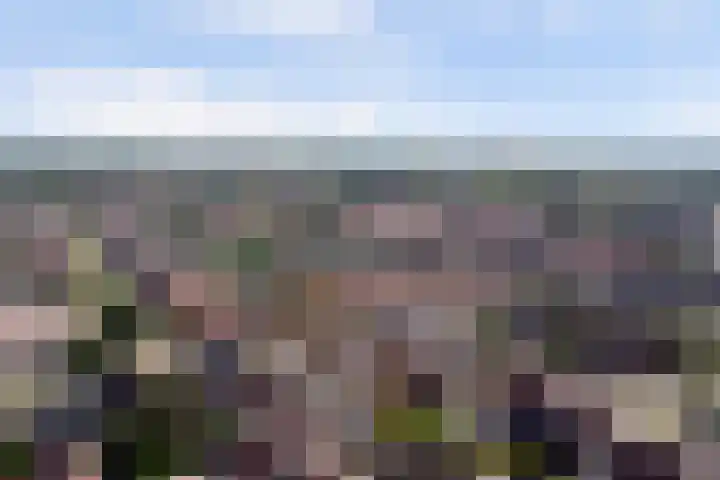 Molenberg 37 Reusel thumbnail 45