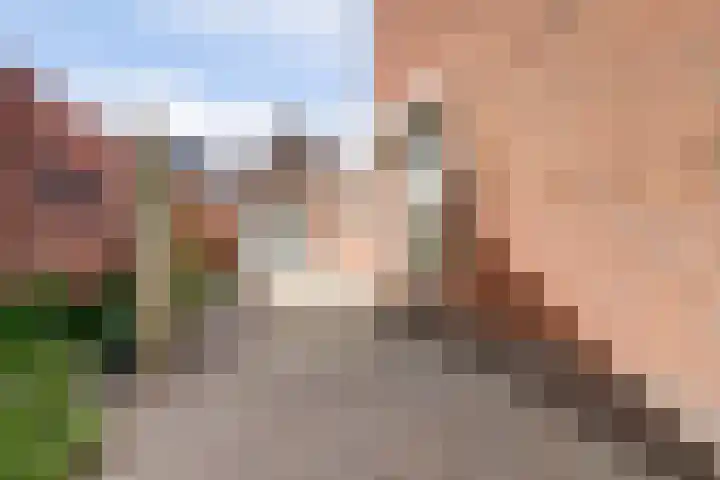 Molenberg 37 Reusel thumbnail 5