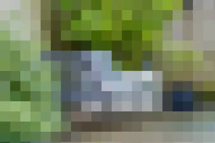 Molenberg 41 Rhenen thumbnail 32