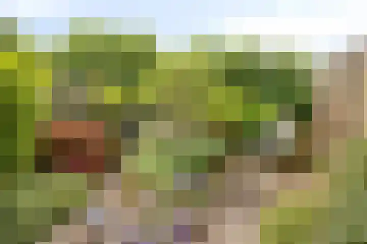 Molenberg 53 Rhenen thumbnail 24