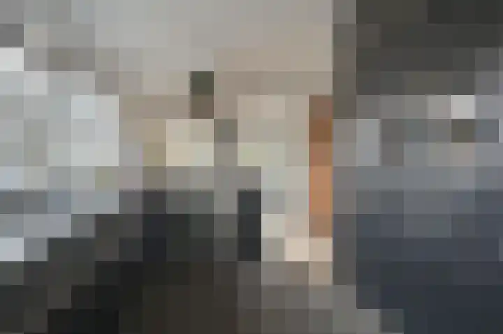Molenberg 9 Huizen thumbnail 15