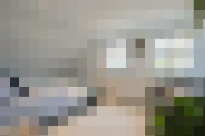 Molenberg 9 Huizen thumbnail 21
