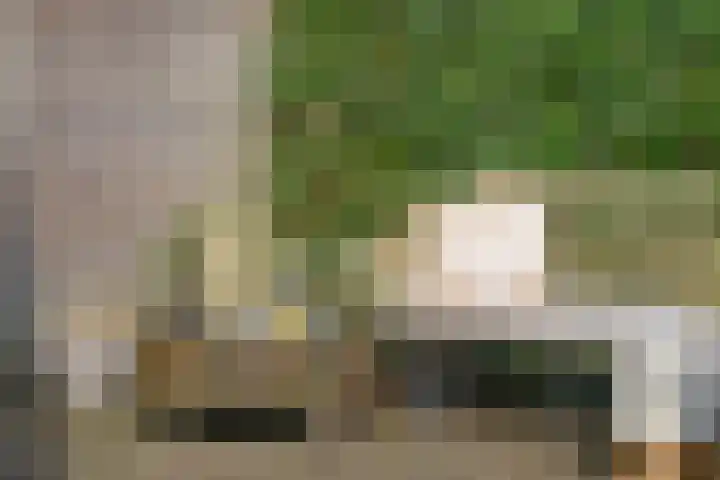Molenberg 9 Huizen thumbnail 30