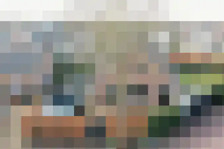 Molenberg 9 Huizen thumbnail 5