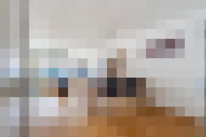 Molenbrink 24 Monster thumbnail 15