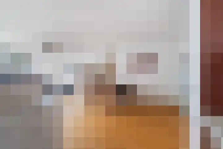 Molenbrink 24 Monster thumbnail 19