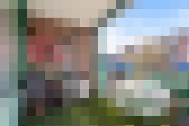 Molenbrink 24 Monster thumbnail 23
