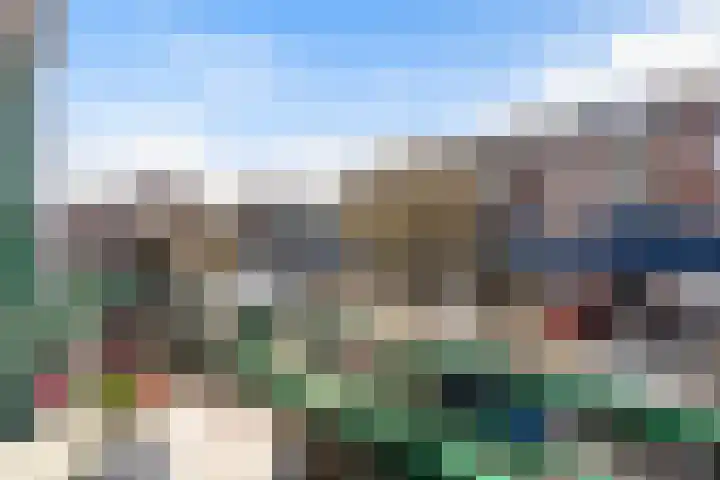 Molenbrink 24 Monster thumbnail 24