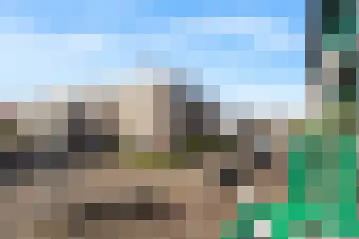 Molenbrink 24 Monster thumbnail 26